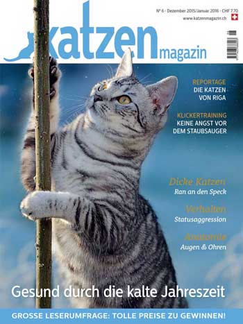 Katzen Magazin Nr. 06/2015
