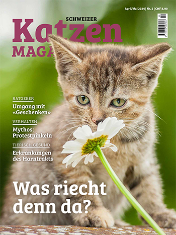Aktuelle Katzen Magazin Ausgabe